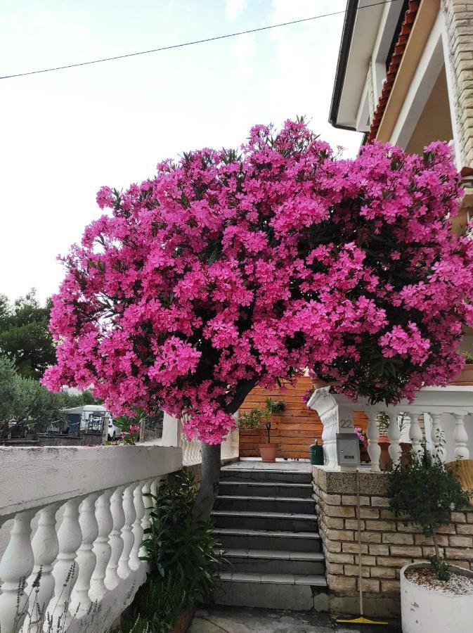 Apartments And Rooms Bozena Vodice Exterior foto